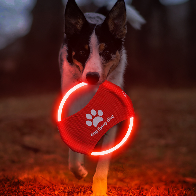 Green LED Rechargeable Dog Flying Disc - Glow-in-the-Dark Pet Training Toy with Paw Design โ image 2