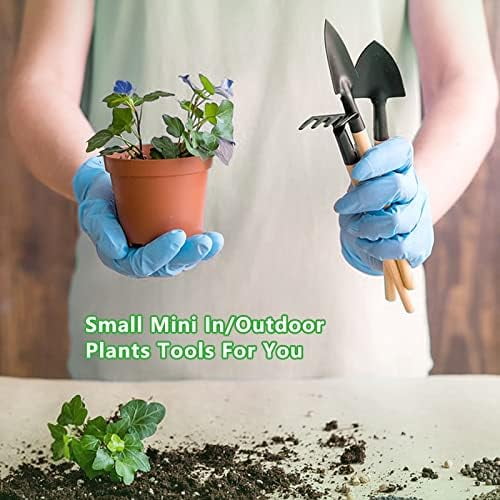 Small Garden Tool Set, 6 Pieces Iron Gardening Kit Including Hand Shovel, Transplant Shovel and Hand Rake with Wood Non-Slip Handle Perfect for Plant Lovers — image 2