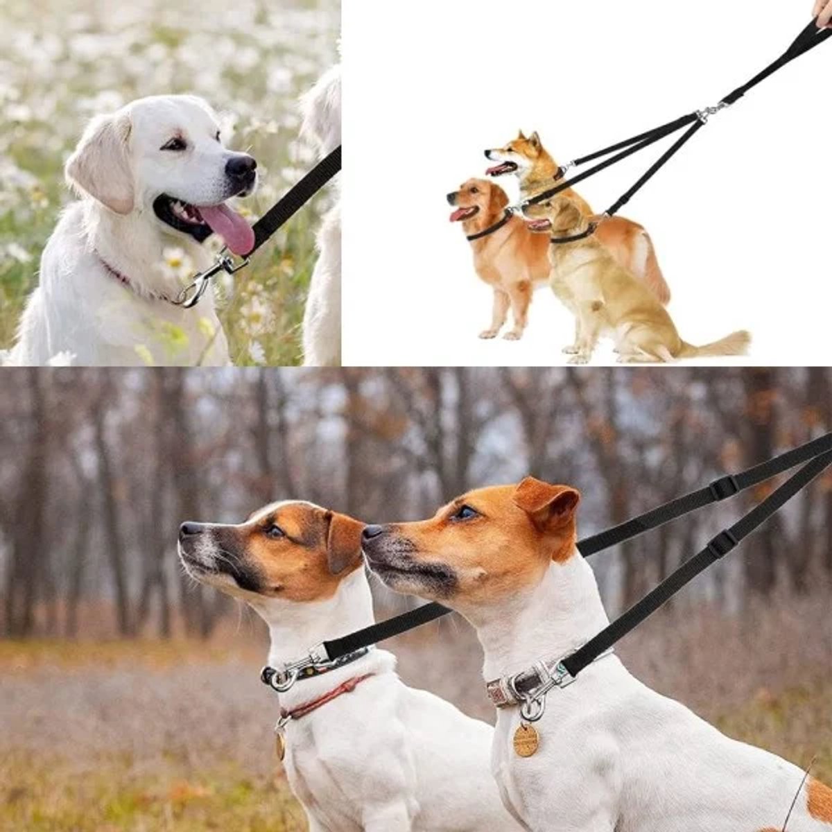 3-in-1 Dog Leash – Adjustable, detachable, for medium-sized dogs — image 4