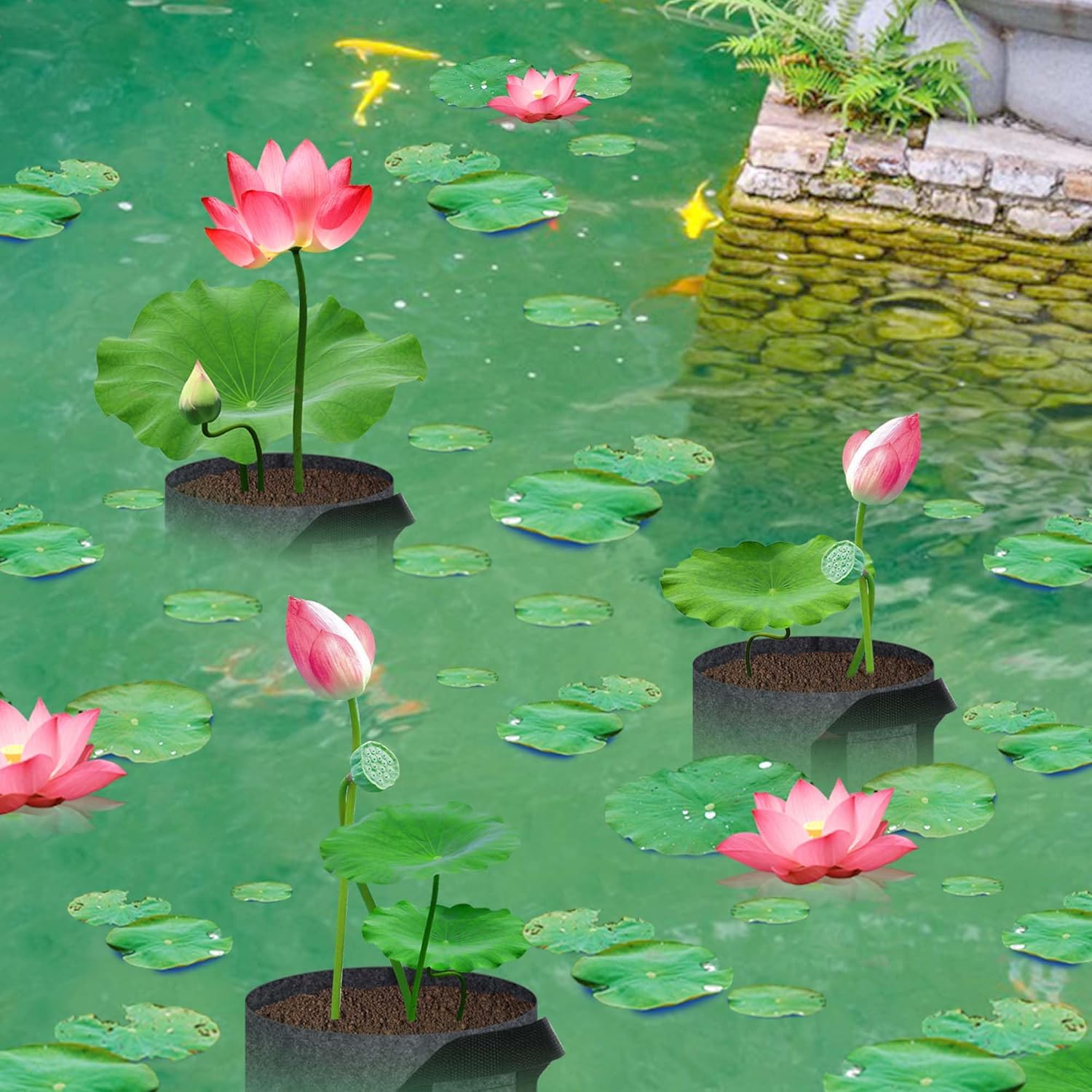 12 Pack Aquatic Plant Pots for Pond, Reusable Fabric Aquatic Plant Pots, Breathable Pond Plant Basket Grow Bags with Handles for Aquatic Plants, Bog Plant — image 6