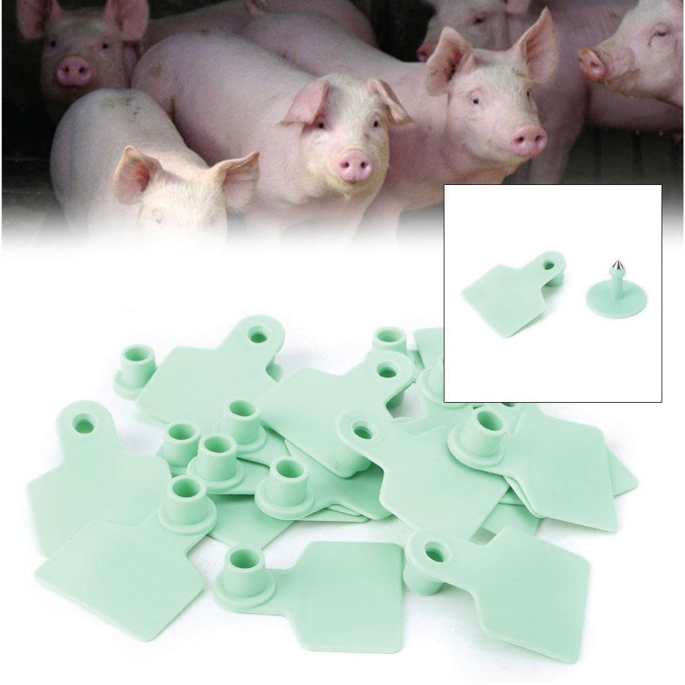 100x Cattle Ear Tags 6 × 7cm Set - Medium Green Blank Cow Sheep Livestock Label — image 2