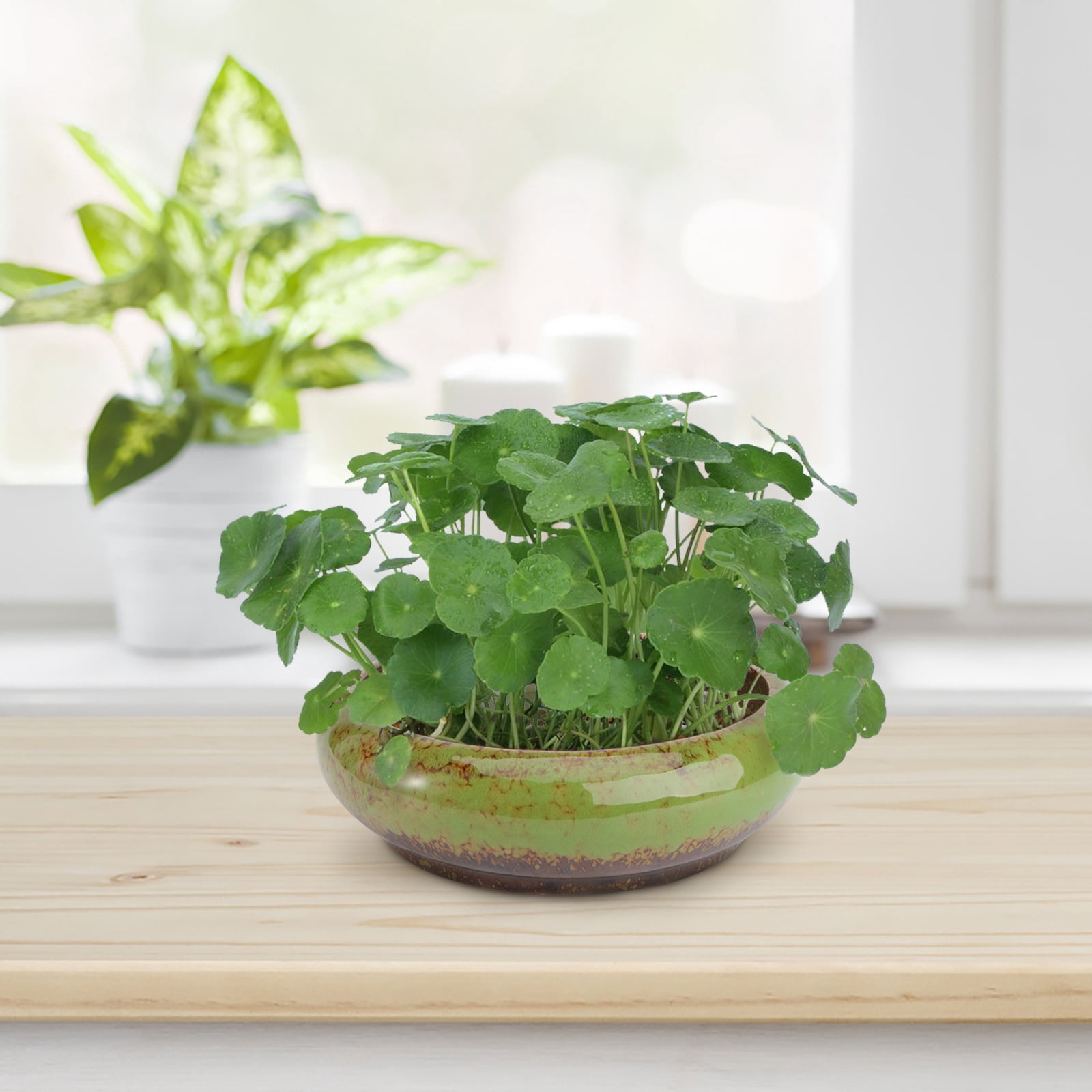Green Ceramic Flower Pot, Hydroponic Planter for Indoor and Outdoor Garden Decor โ image 6