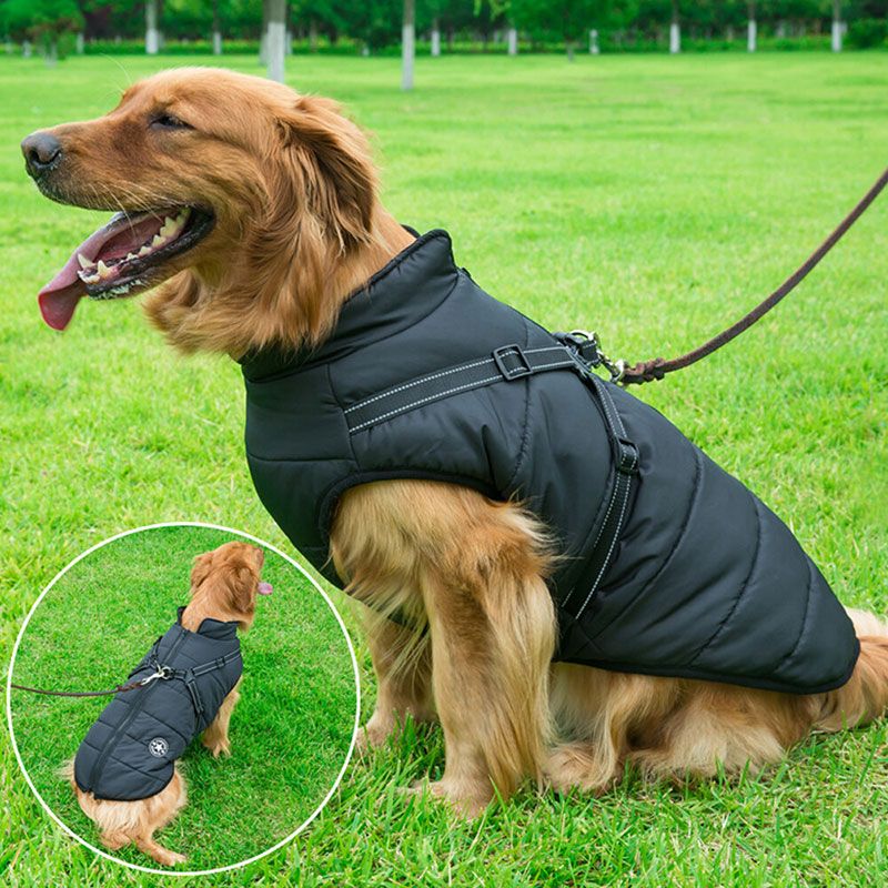 Army Green Winter Waterproof Dog Jacket with Built-in Harness, Warm Padded Cotton Vest for Small and Medium Breeds, Size S with Reflective Safety Strips — image 4