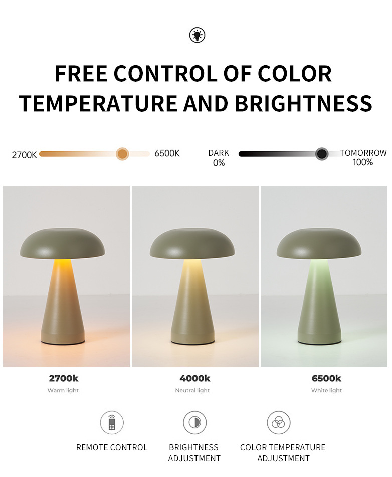 Silver Metal Mushroom Table Lamp - Rechargeable Touch Control Ambient Light with Remote — image 2