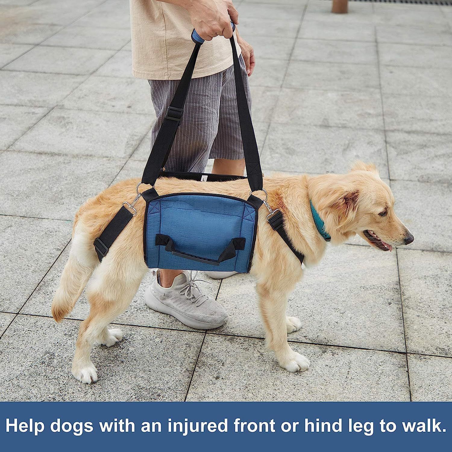 Dog Carry Sling, Emergency Backpack Pet Legs Support & Rehabilitation Dog Lift Harness for Nail Trimming, Dog Carrier for Senior Dogs Joint Injuries — image 3