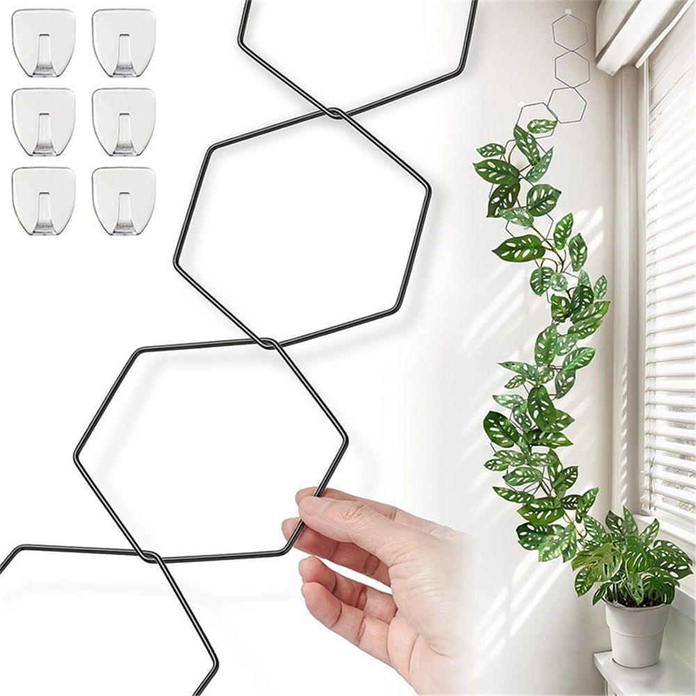 Chain Trellis for Climbing Plants - Indoor & Outdoor House Plant Accessories More | Garden Wall Trellis and Plant Vine Support - Houseplant Accessories and — image 2