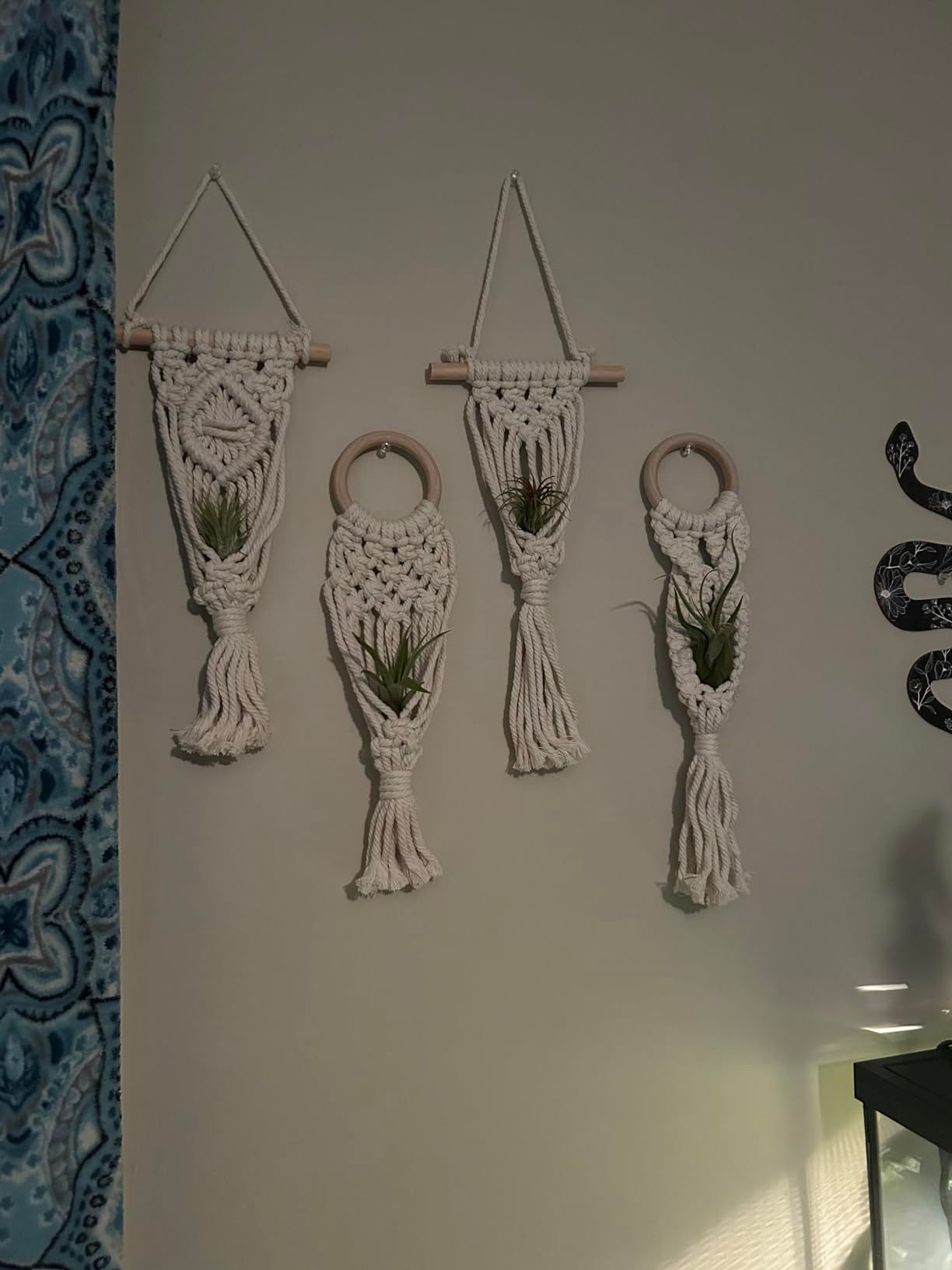 4 Pack Air Plants Holders Air Fern Macrame Plant Hanger Indoor Hanging Planter Basket for Tillandsias Display Air Plant Stand โ image 3