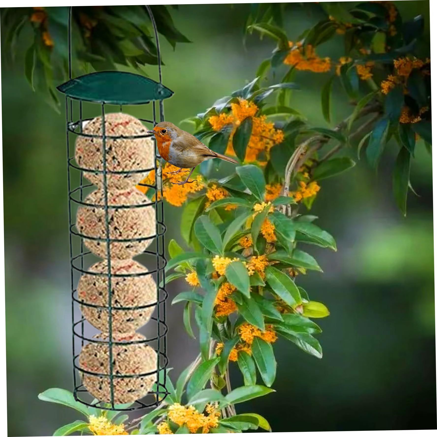 Suet Bird Feeders for Outdoors Hanging Rustproof Metal Suet Holder Cylinder Bird Feeder Portable Bird Feeders for Garden — image 3