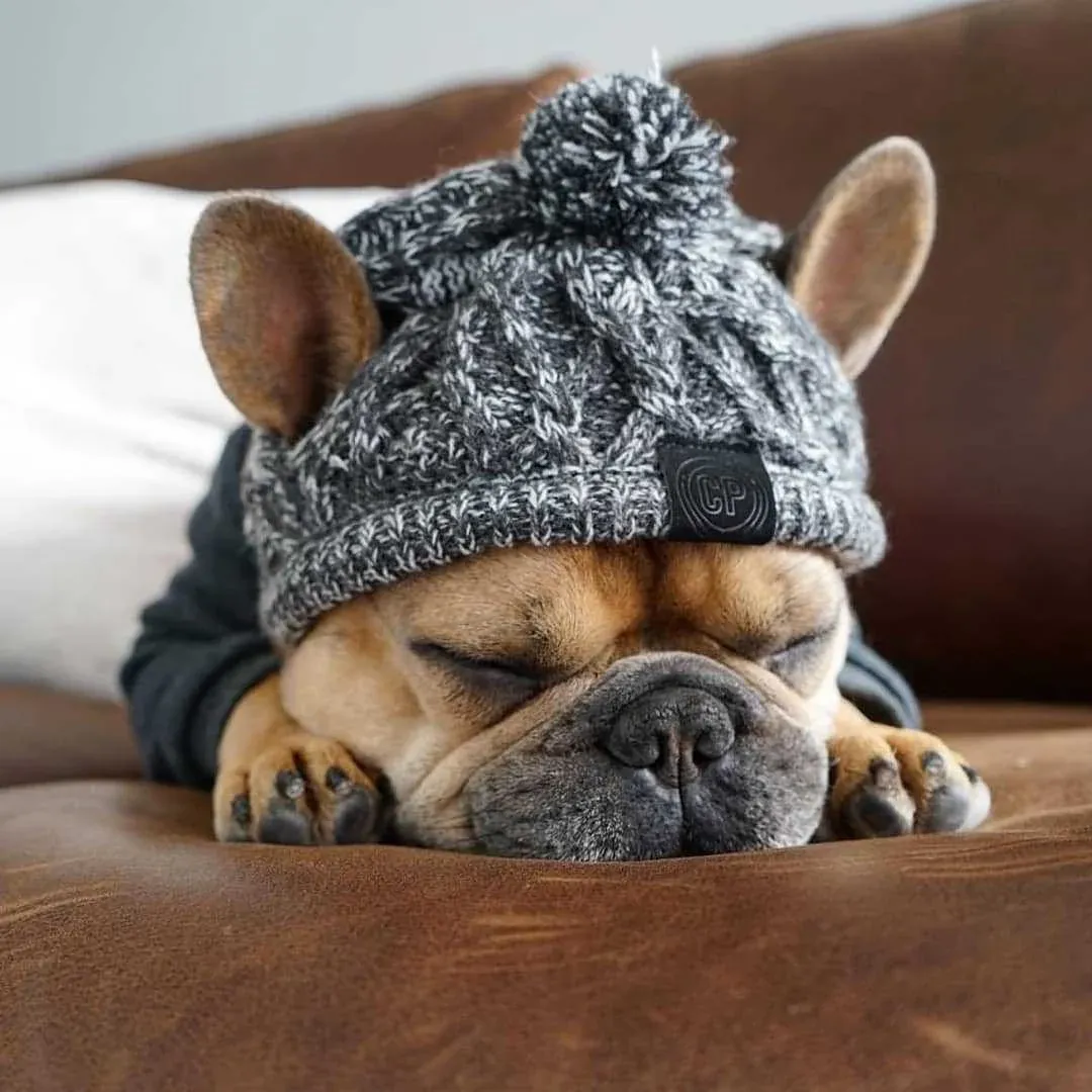 Dog Hat Knitted Windproof Winter Pom Hat, Black, S — image 3