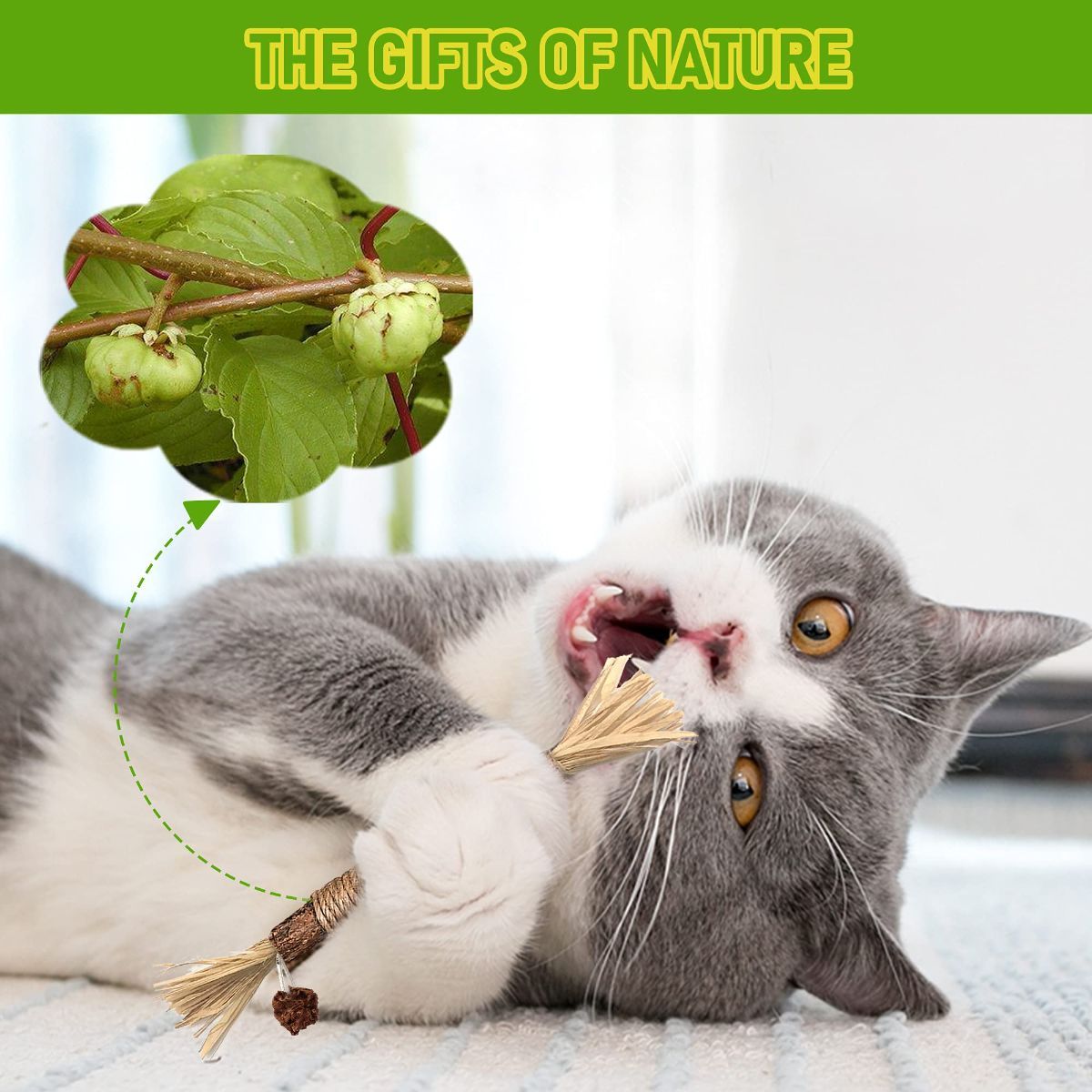 5 Cat Chew Sticks Cat Toys Cat Dental Care Natural Cat Toys Kitten Teething Toys — image 4