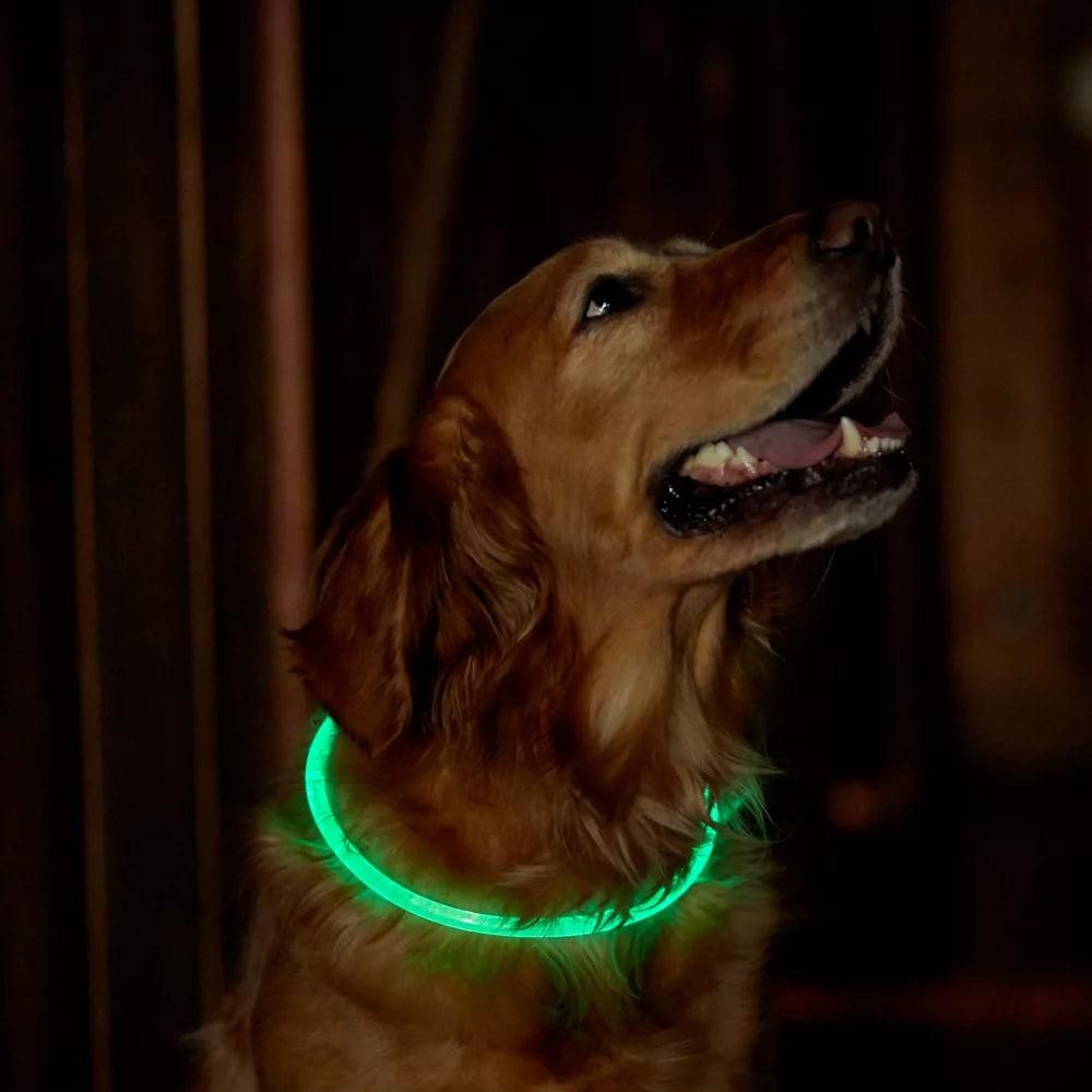Light-Up Pet Dog Collars USB Rechargeable Pet Collar Adjustable Size Pet Collar Green - L — image 2