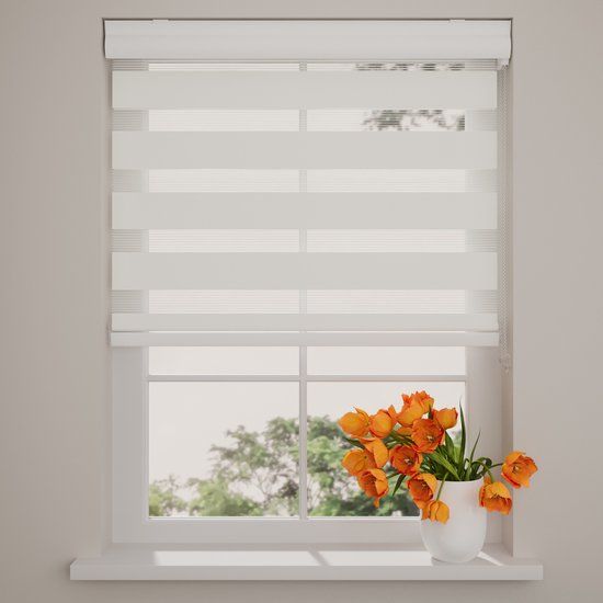 Day-Night Zebra Roller Blind, White Light-Filtering Window Shade, 50 x 120 cm