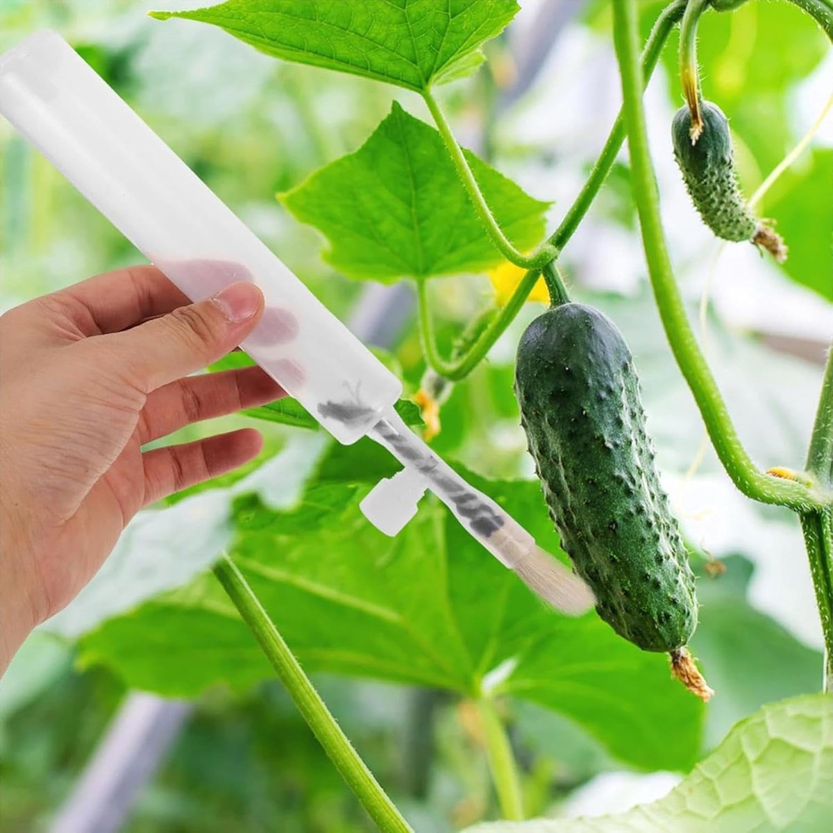 Pollination Pen - Professional Plant Pollinator Tool - Practical & Efficient - For Flower Pollination - Manual Pollinator Range - Garden Tools - For Various — image 3