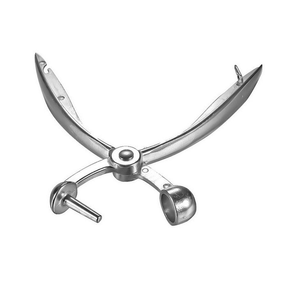 Cherry Pitter Stainless Steel Cherry Pits Remover Chopping Tool to Remove Cherries Stone โ image 3