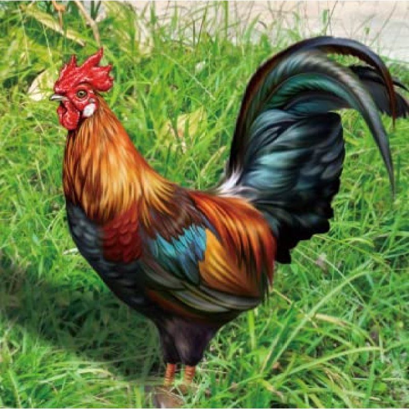 Metal Garden Statues Sculptures Decorative Garden Stakes Yard Chicken Decorations Metal Standing Animal Sculpture for Backyard — image 4