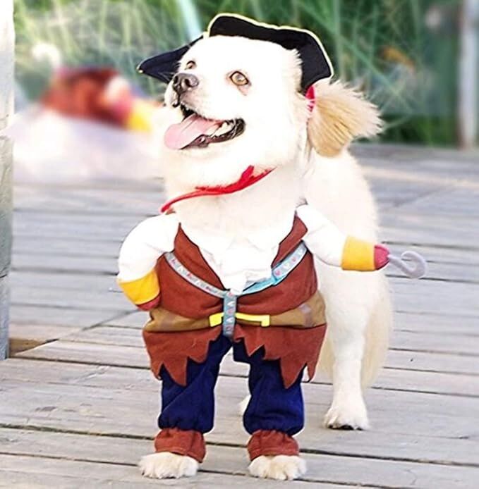 pet products New Funny Pet Clothes Pirate Dog Cat Costume Suit Corsair Dressing up Party Apparel Clothing for Cat Dog Plus Hat — image 3