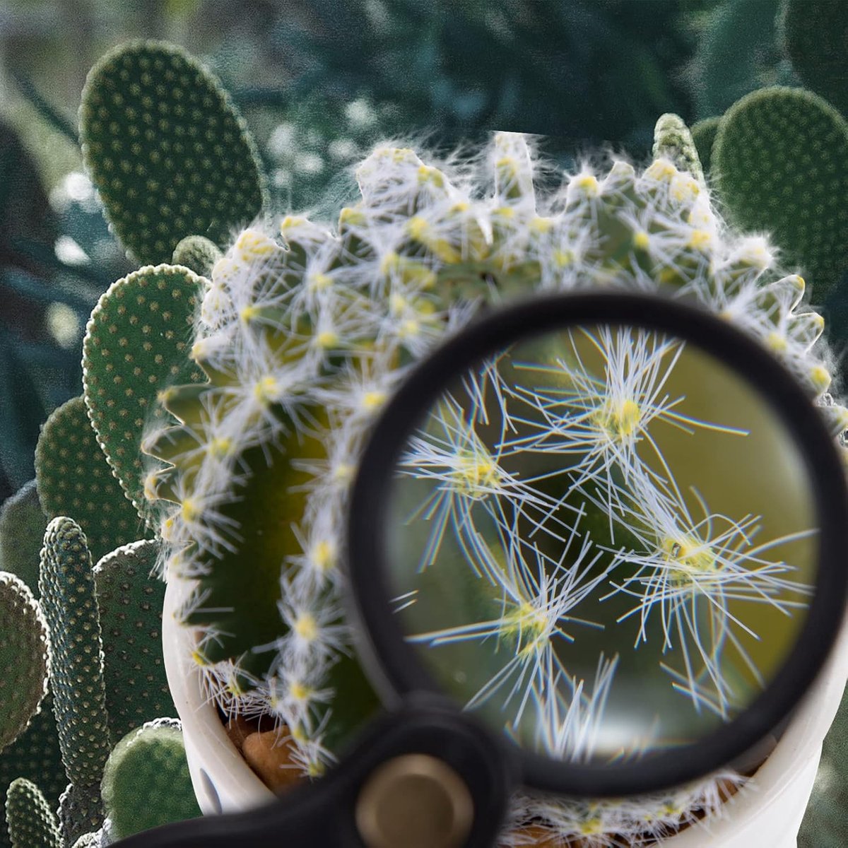 Magnifying Glass - 3 Pieces - 10x Magnification - Pocket Handheld Magnifying Glass - Reading Magnifier - Mini Magnifying Glass - Reading Magnifier - Pocket — image 3