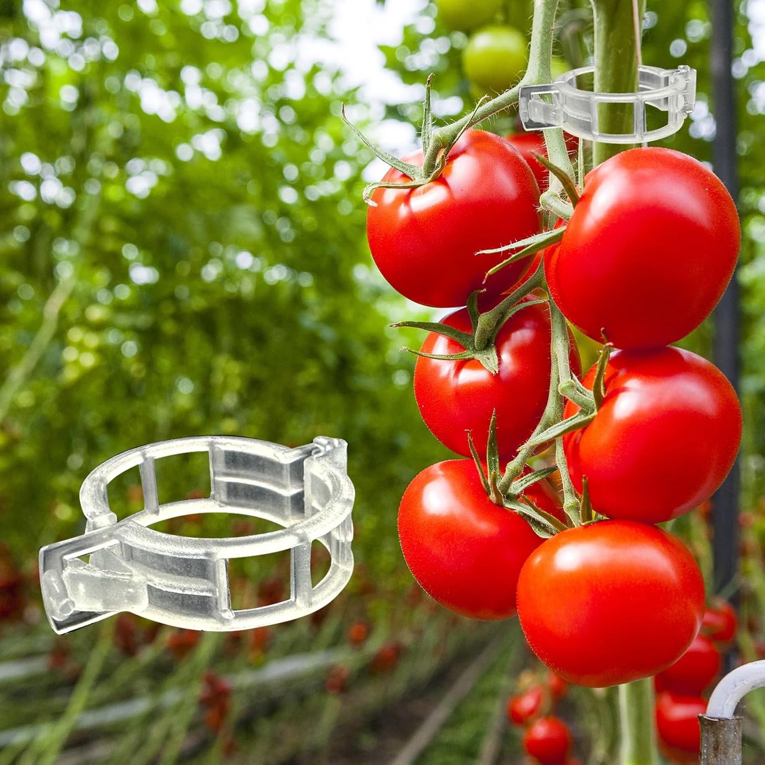 Plastic Trellis Clips Plant Support Clips