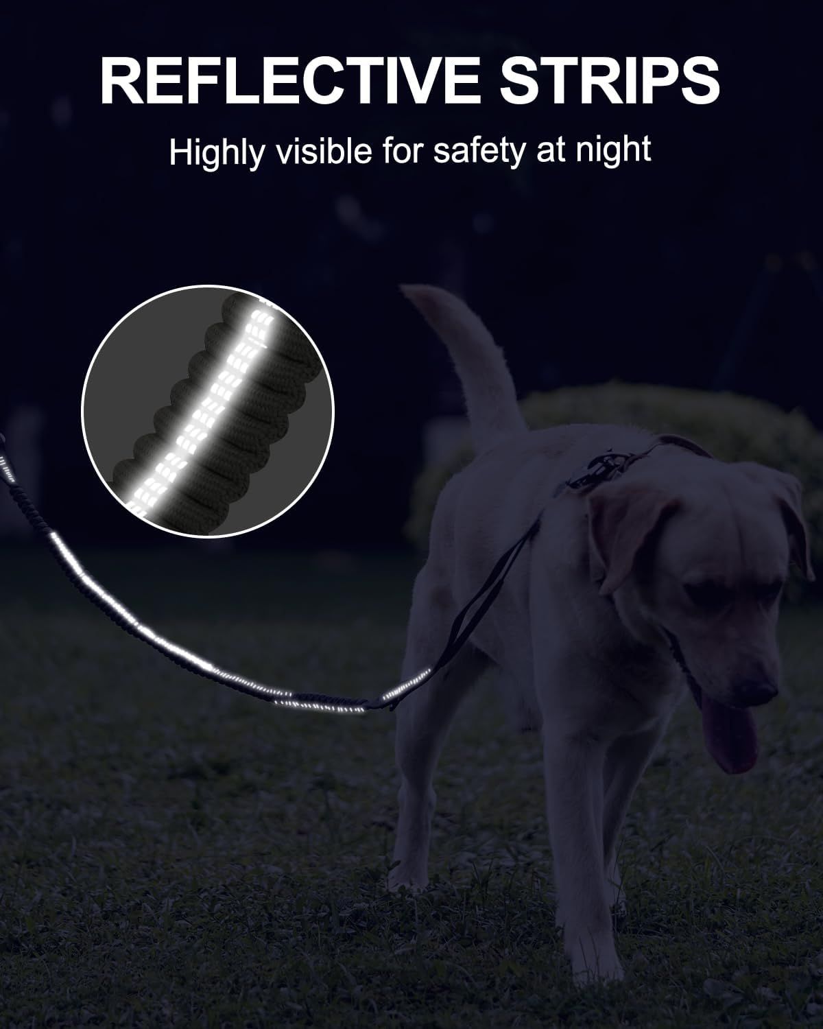 Bungee Dog Leash with Frog Snap Hook - Heavy Duty Elastic Training Lead for Medium Large Dogs - Shock Absorbing Anti-Pull Walking Leash - Olive โ image 4