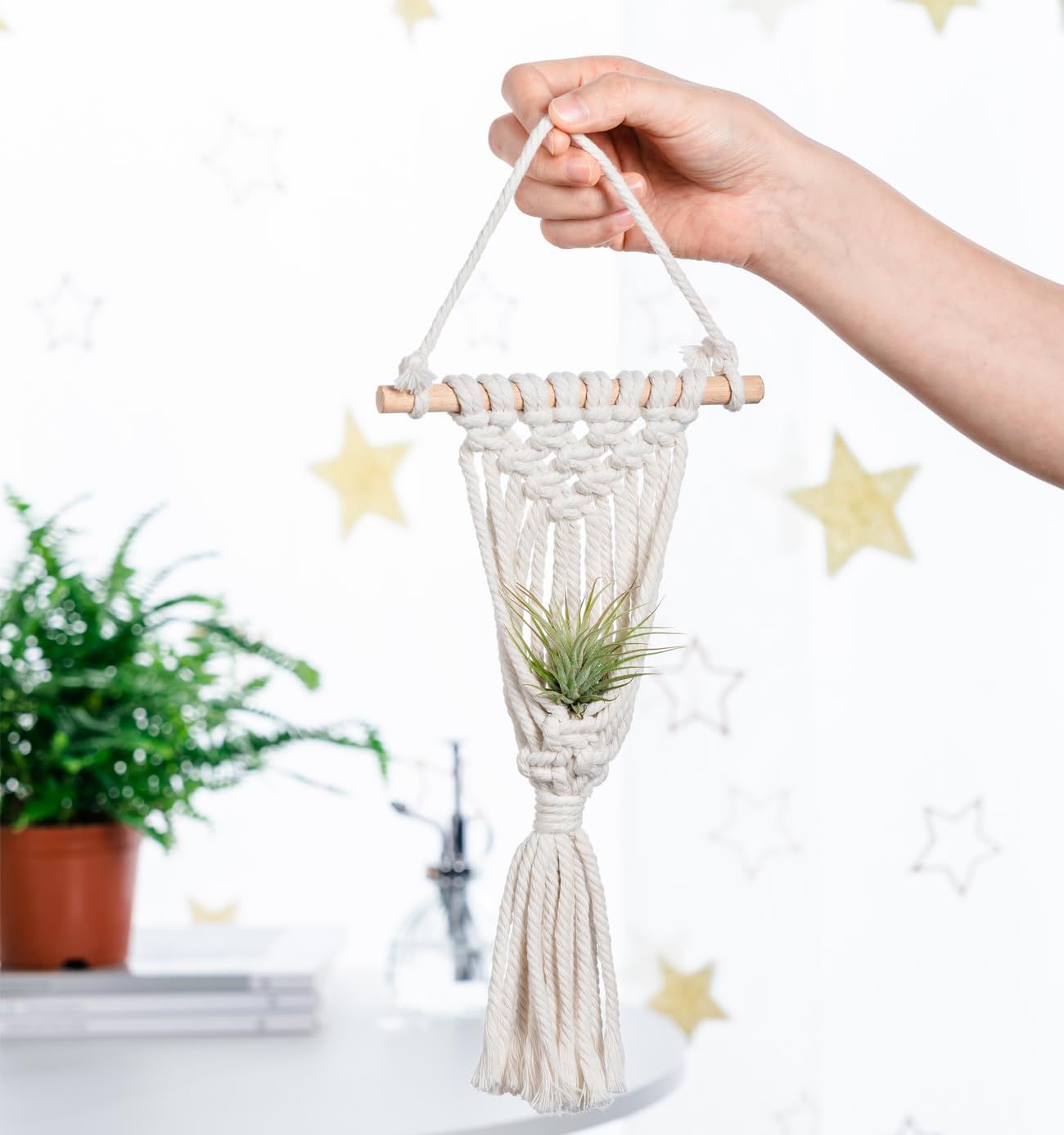 4 Pack Air Plants Holders Air Fern Macrame Plant Hanger Indoor Hanging Planter Basket for Tillandsias Display Air Plant Stand โ image 4