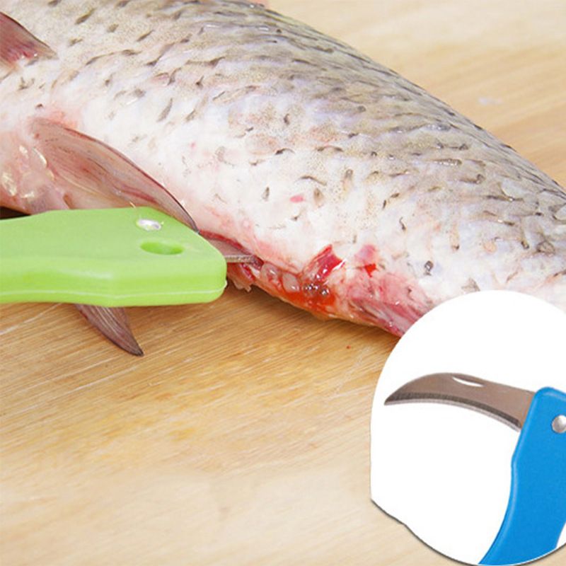 2 in 1 Plastic Fishing Scale Brush Built-in Fish Cutter Fish Skin BrushFish Scaler Fillet Knife Fish Cleaning Tools (3pcs) — image 4