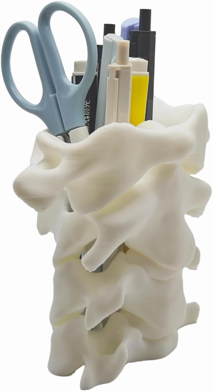 Unique Spine Pen Holder for Desk, Pencil Holder Desk Organizers, Office Supplies Decorations Idea Gift for Doctors, Nurses, Chiropractors โ image 5
