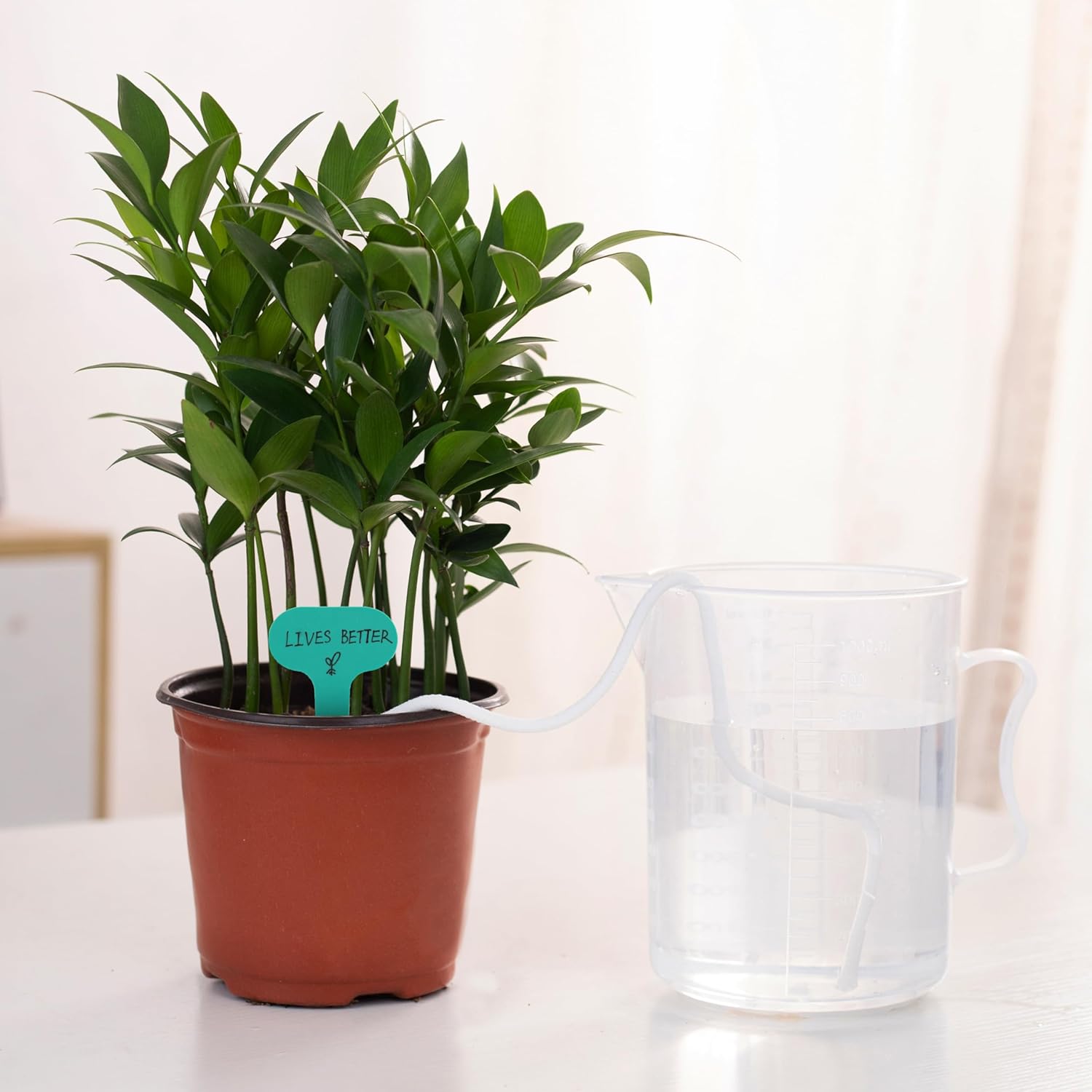 200 feet 1/4 inch Self Watering Capillary Wick Cord Vacation Plant Sitter DIY Hydroponic Wicking Rope Seeds Start Planter Pot Automatic Potted Flower Passive — image 3