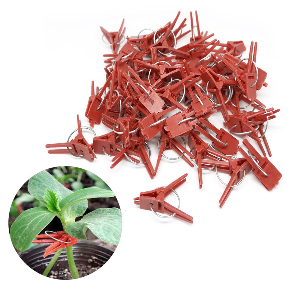 100PCS Plants Graft Clips Plastic Grafting Clips Practical Garden Plant Clips โ image 4