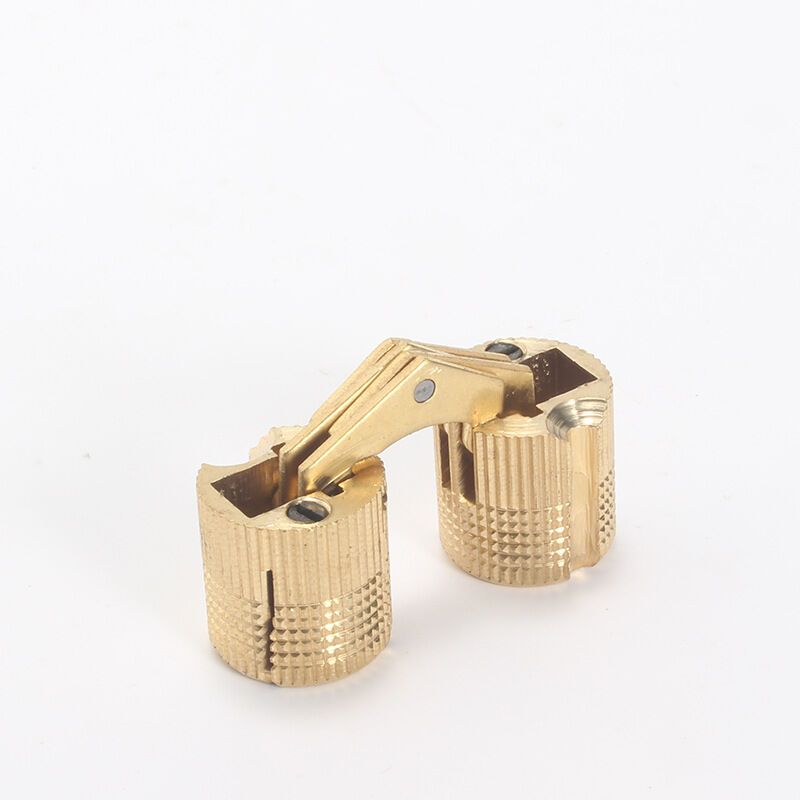 2 Pcs Brass Hidden Invisible Barrel Hinges for Wooden Door Cabinet Caravan, 16 mm — image 4