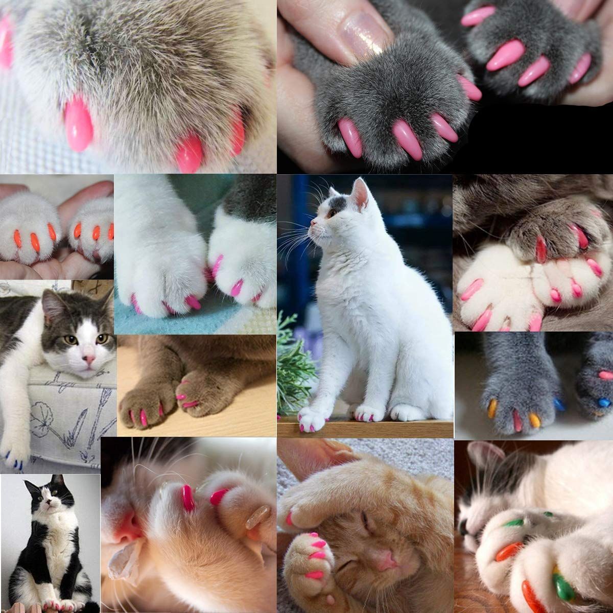 Medium 140pcs (7 Colors) Cat Nail Caps, Cat Claw Covers Cat Nail Covers with Adhesives and Applicators - Multi-color - Size M — image 2