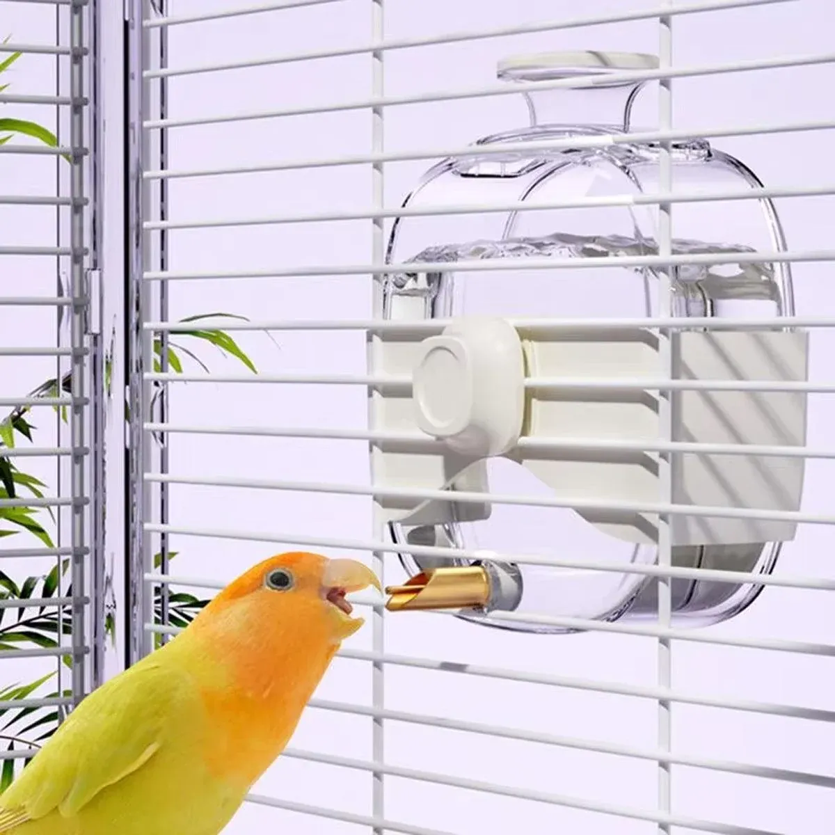 450ml Parrot Water Bottle Bird Drinker Feeder Large Capacity for Birds and Pet — image 4