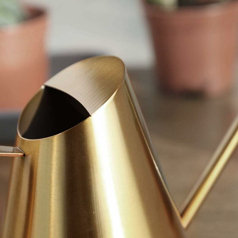 Stainless Steel Watering Can With Long Narrow Nozzle, Garden Plants Flower Tool, Ideal For Home, Garden, Balcony โ image 3