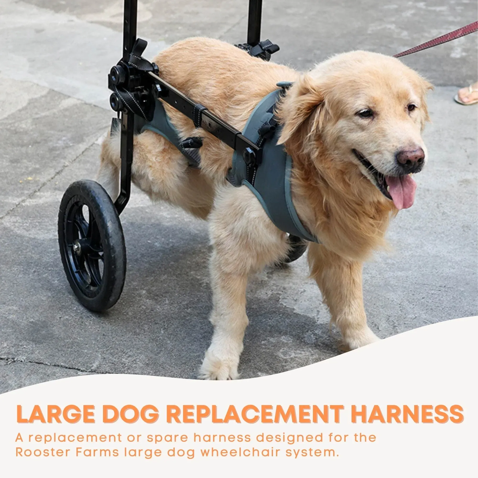 Rooster Farms Replacement Harness for Dog Wheelchair XXL - Large Dogs Up to 45Kg — image 2