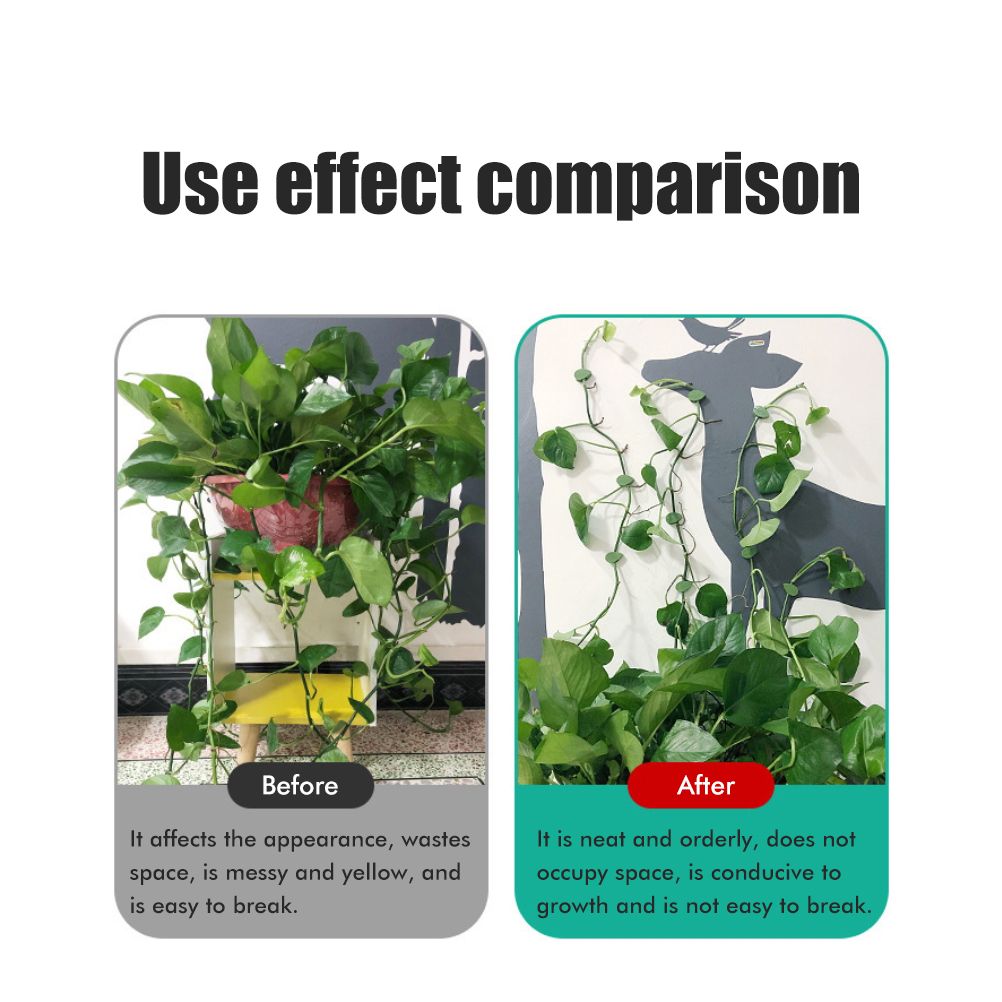 Pack of 50 Self Adhesive Plant Holders Plant Connector Clip Climbing Plants Fixing Wall Plant Clips for Supports Planting โ image 4