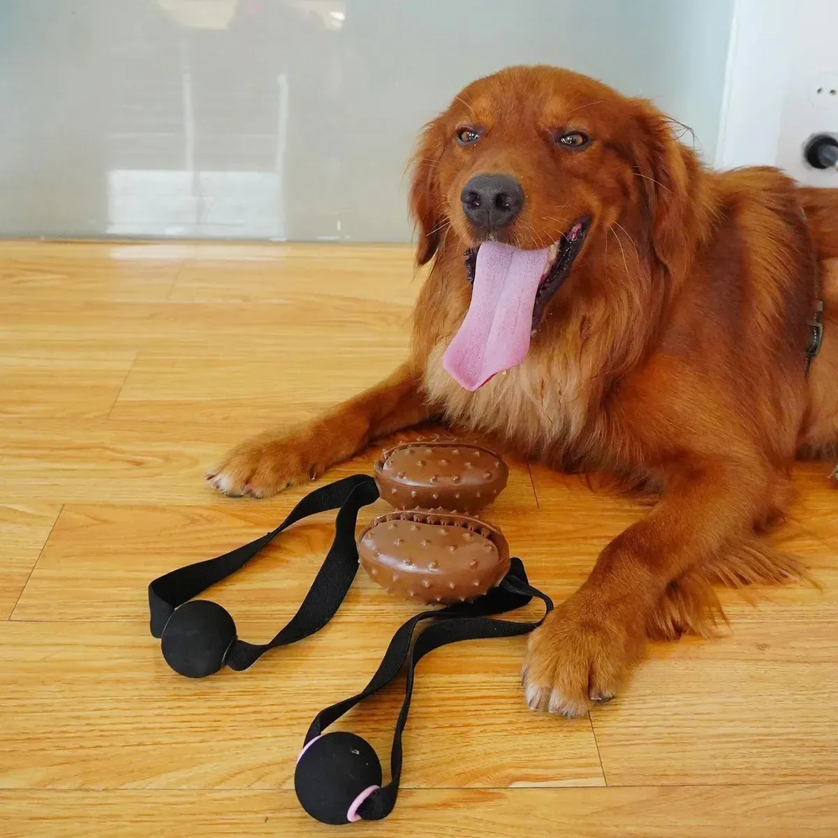 Pet Chew Ball Teeth Cleaning Slow Feeding Rope Toy For Puppies โ image 6