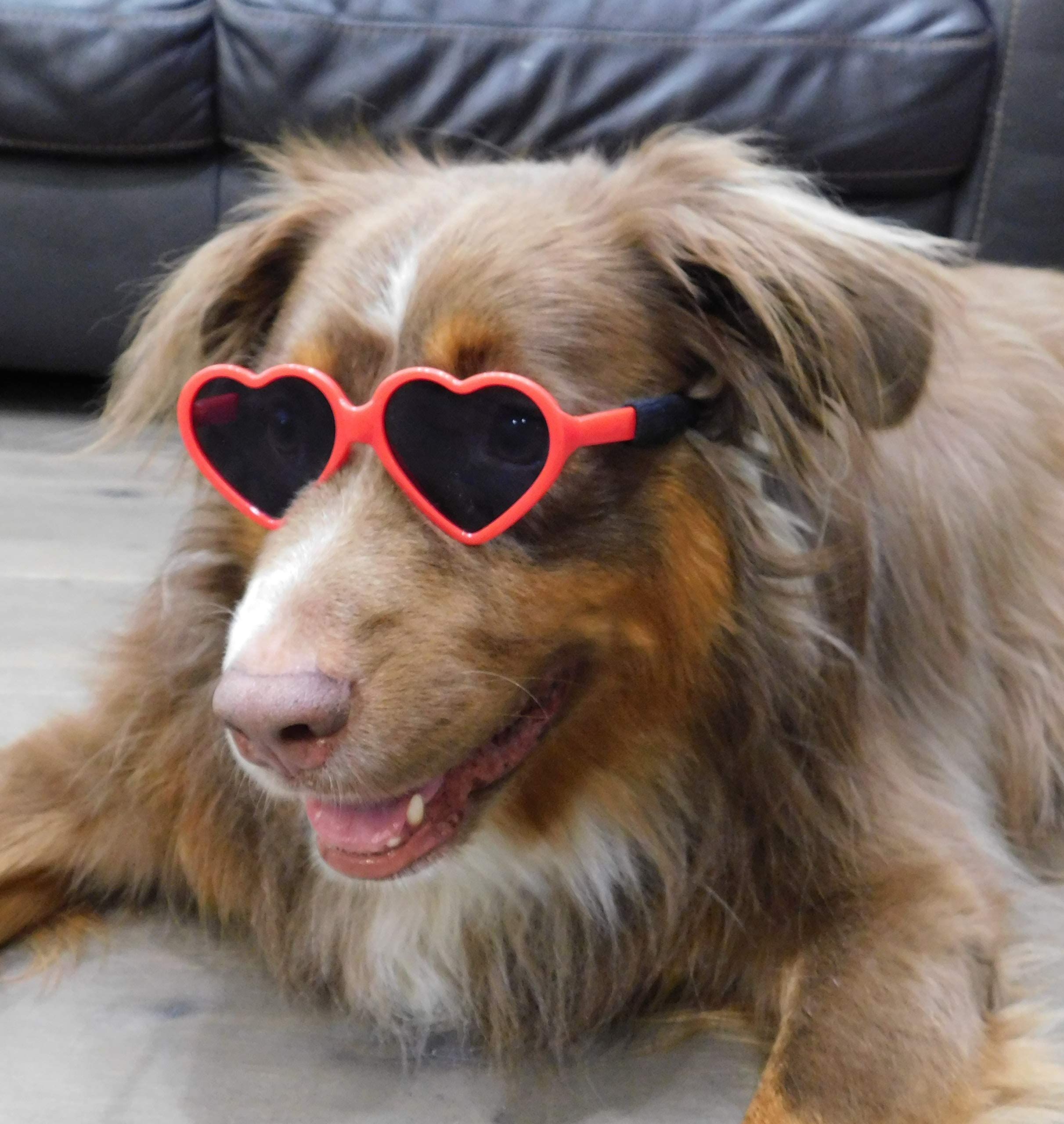 Dog Small Breed up to 15lbs Puppy Cat Pet Heart Tiny Sunglasses Photos Props Pets Party Decor Dog Sunglasses(Red) — image 3