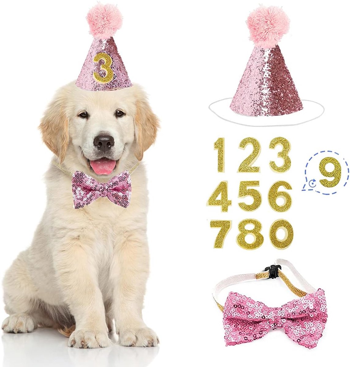 Birthday hats for dogs/cats - Party hat set for dogs - Includes bow tie and blue number - Suitable as decoration for a puppy or kitten - Clothing, headwear and