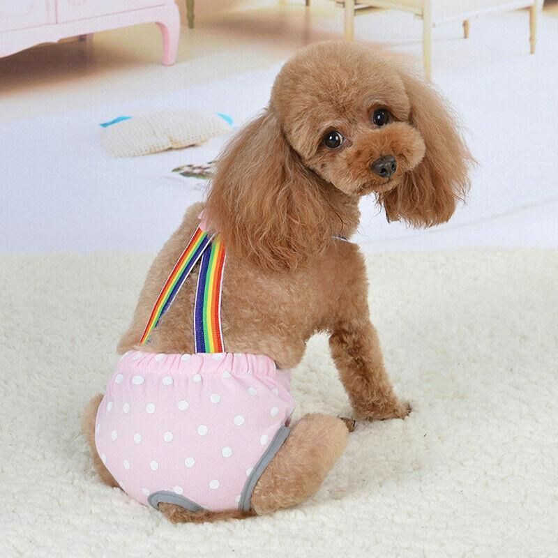 Female Pet Dog Cat Puppy Pant Menstrual Sanitary Nappy Diaper Wrap Underwear Blue - XS β image 3