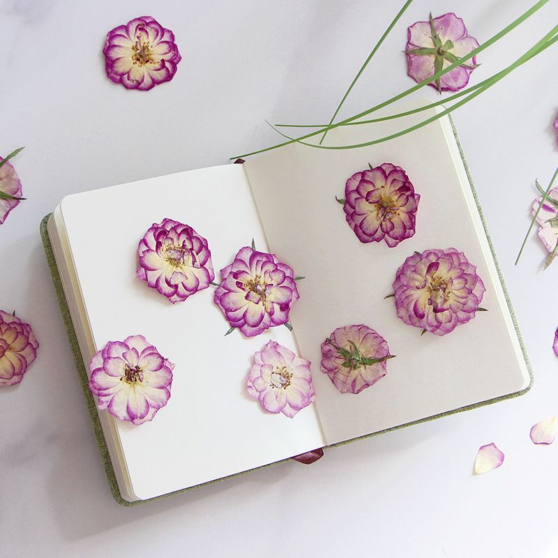 Large Purple Dried Pressed Flower for Resin, Big Real Nature Pressing Floral Leaves for DIY Craft, Candle Scrapbooking Supplies — image 2