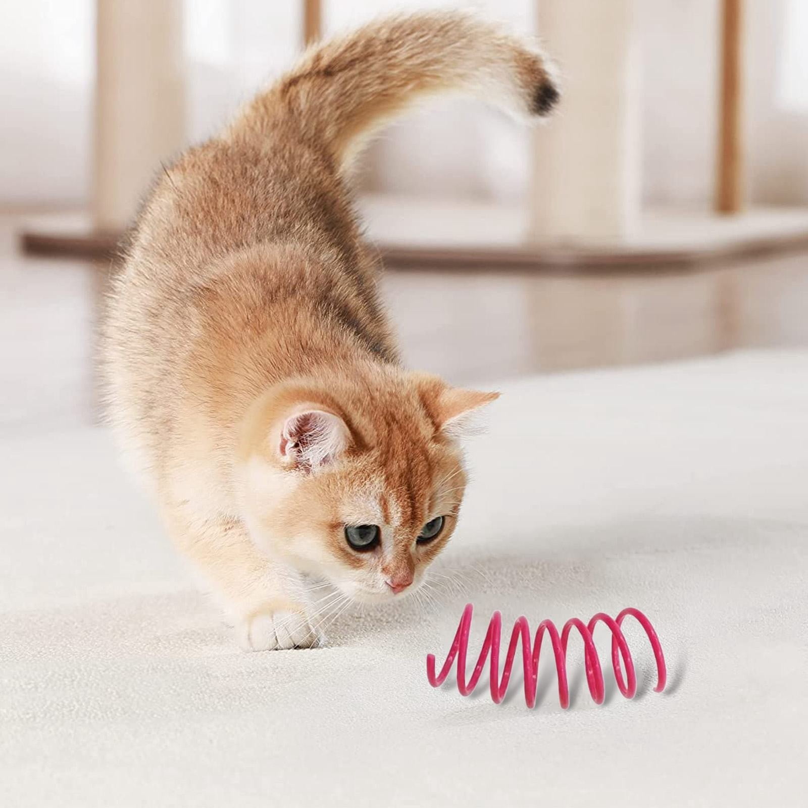 Red Pet Cat Toy Spring Style Spring Toys Playful Coils for Plastic for Swatting Biting Hunting and Active Play Colorful, Red Green — image 4