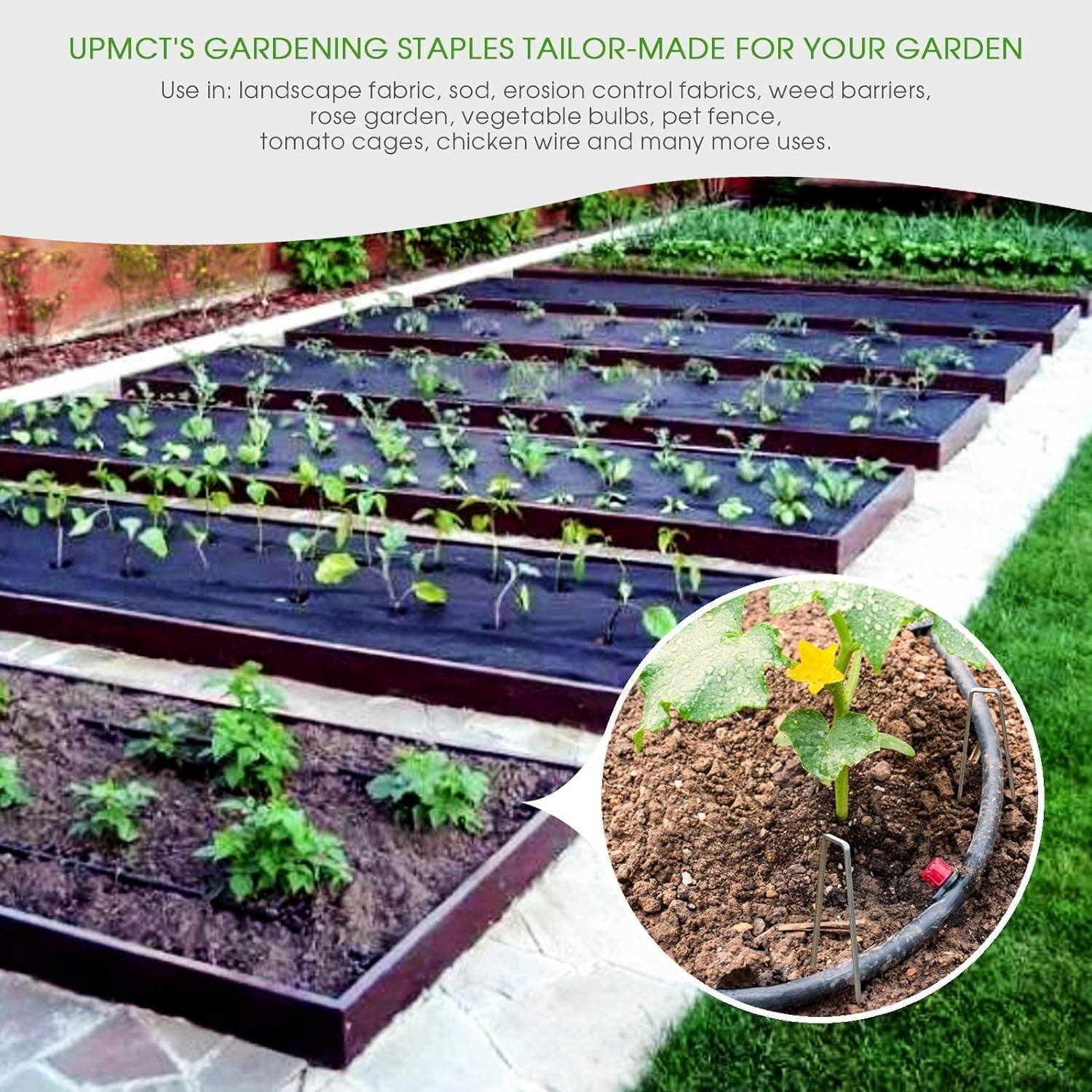 12 Inch Galvanized Garden Landscape Staples Stakes, 25 50 100 PCS Anti-Rust Garden Staples Tent Ground Stakes U-Shaped Landscape Pins for Secure Lawn Fabric — image 5