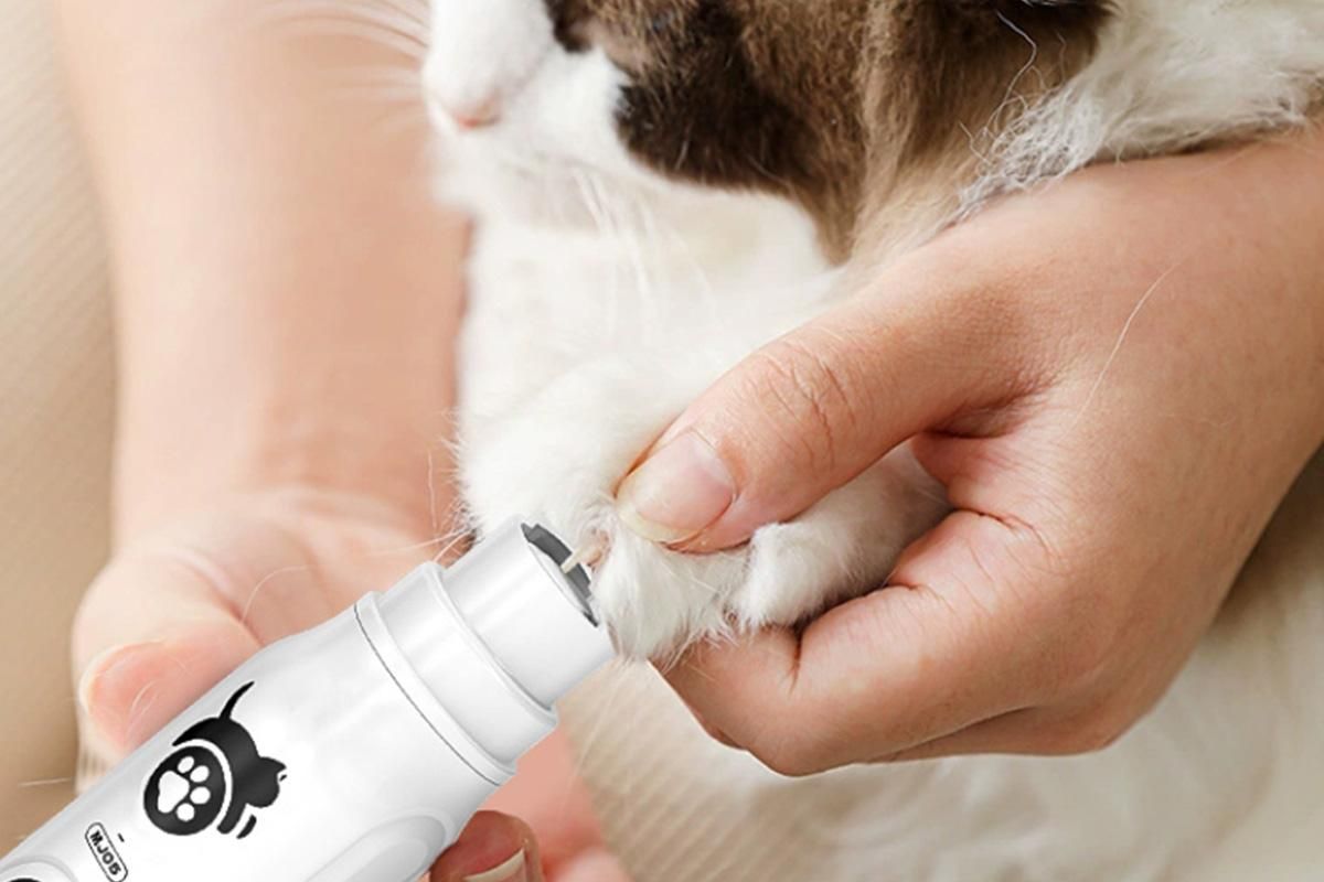 Pet Nail Grinder with LED Display Dog Nail Trimmers With 3 Speeds For Small Large Dogs And Cats β image 6