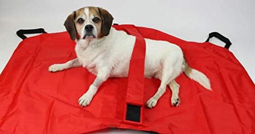 Transport Stretcher for Dogs - Emergency Animal Carrier with Safety Strap - 250 Pound Weight Limit - Pet Stretcher — image 4