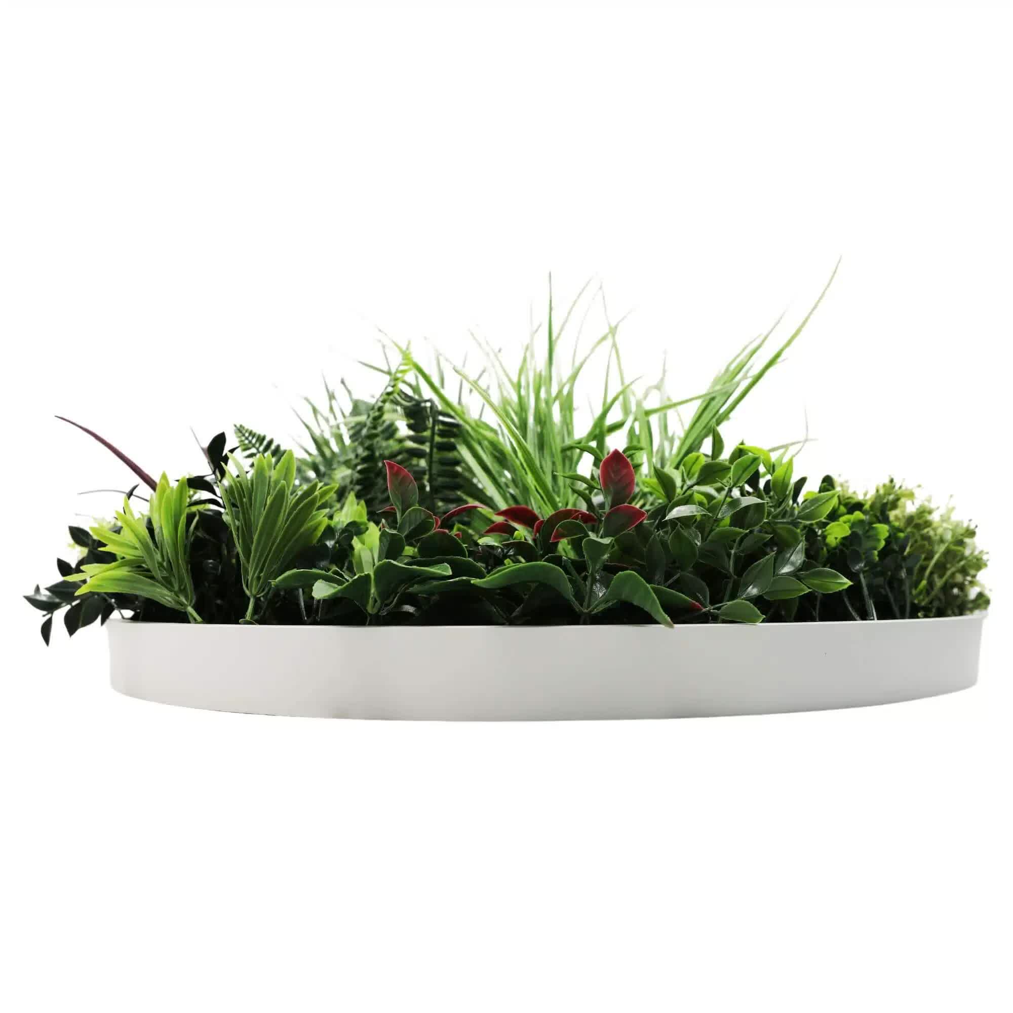 Slimline Artificial Green Wall Disc Art 60cm Colour Fresh UV Resistant (White) — image 4