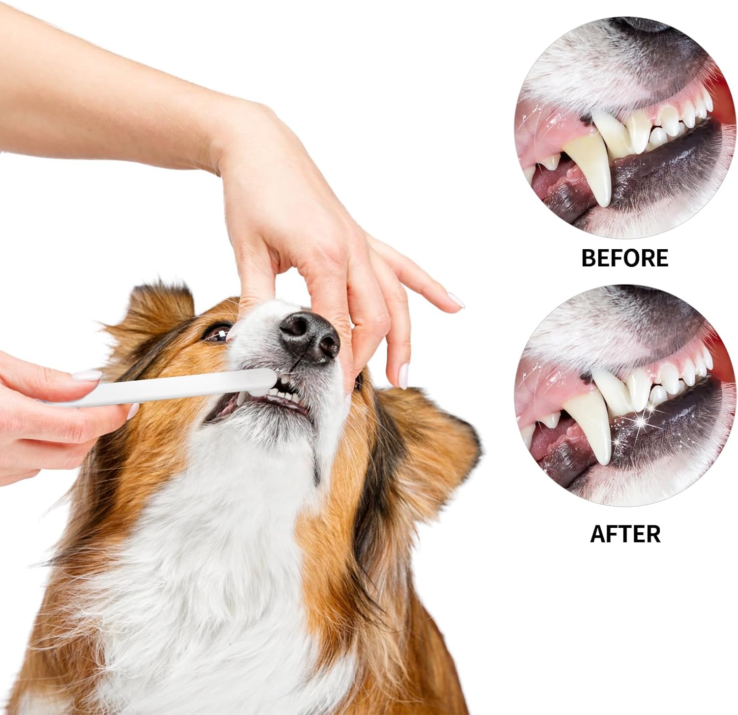 Petluno Small Dog & Cat Toothbrush 5 Set, Micro Nano Bristles to Clean pet Teeth Toothbrushes, Puppy Dogs Pet Tooth Cleaning Kit with Storage Box(White — image 6