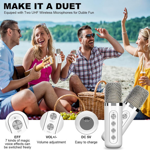 Sliver Karaoke Machine with 2 Wireless Microphones Bluetooth-Compatible 5.0 for Parties — image 3