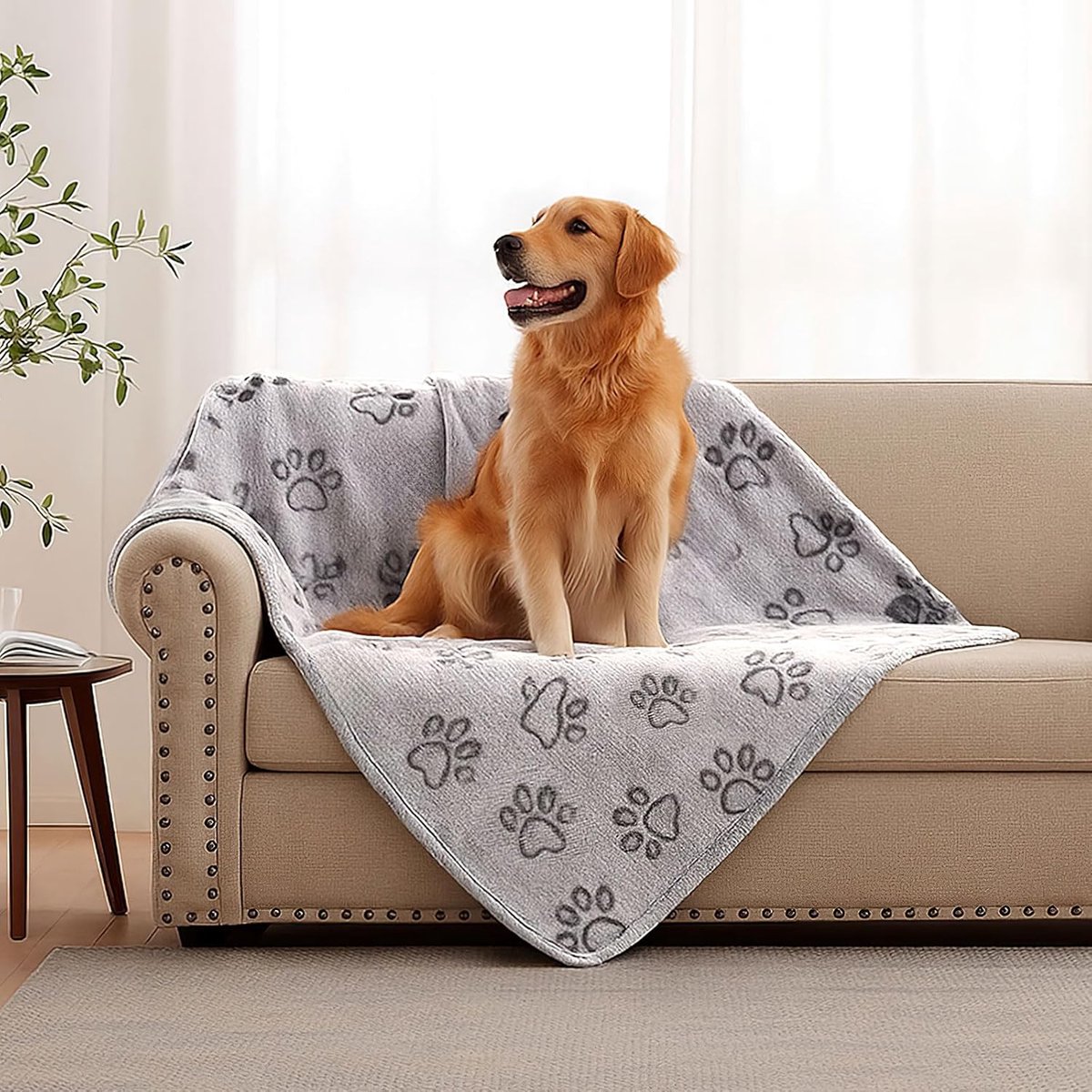 76 × 104cm Dog blankets for medium-sized dogs, cats, Premium soft dog blankets for small dogs, washable, Puppy blanket, Dog supplies for puppies (grey) — image 5