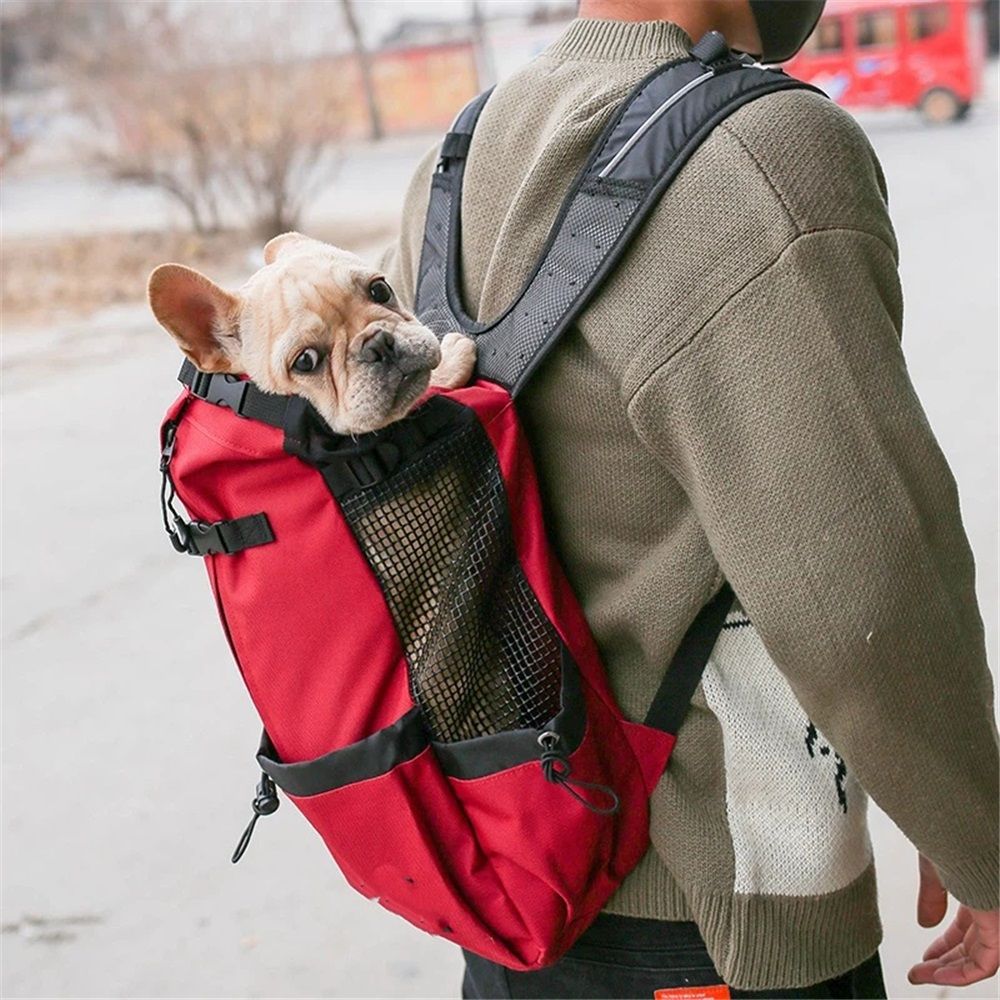 Red(S) - Ideal for Dogs with Length - Durable, Breathable Backpack-Style Carrier - Perfect for Walks, Short Hikes & Public Transportation — image 2