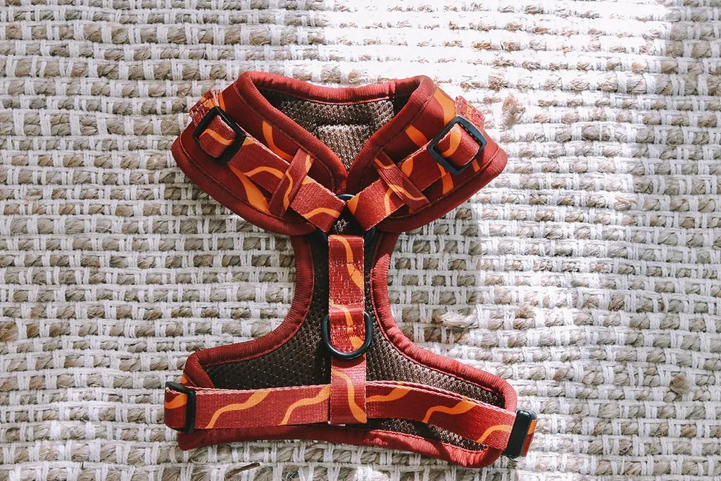 Designer Dog Harness — image 2