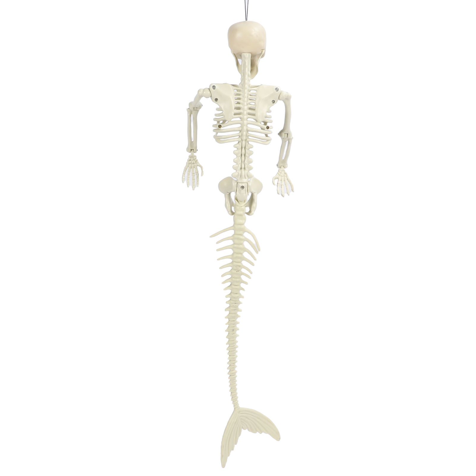Halloween Skeleton Decoration Realistic Scary Skeleton Figurine Ornament for Haunted House Party Outdoor — image 6